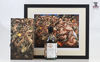 Macallan 1989 33 Year Old Burnobennie The World Is On Fire No.1 + Peter Howson Print  Thumbnail